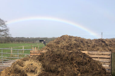 Dorset Rainbow