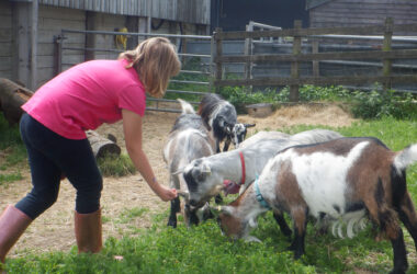 Short breaks this February half term!