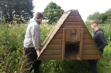 Rehoming Fuzz the duck