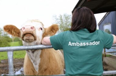 Ambassadors Meeting