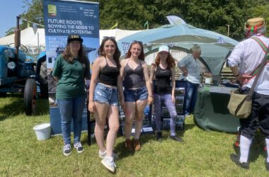 Sherborne Castle Fair